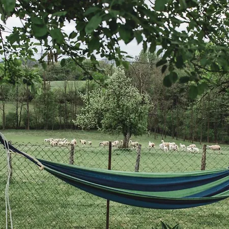 Сasa de vacaciones Jela Countryside House *