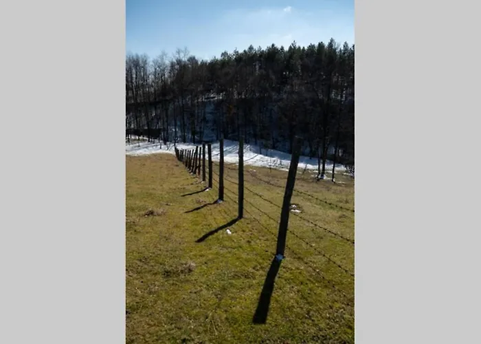 Дом отдыха Jela Countryside House Kosjeric