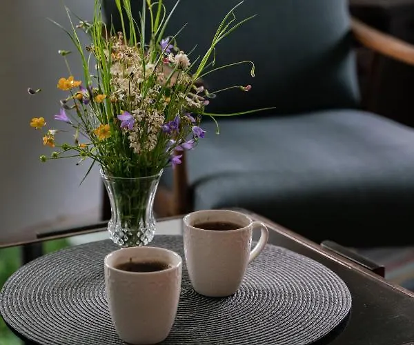 Jela Countryside House Дом отдыха *