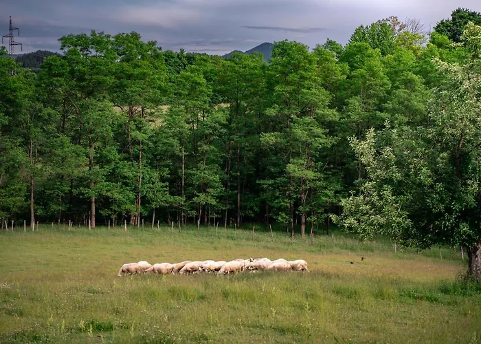 Дом отдыха Jela Countryside House