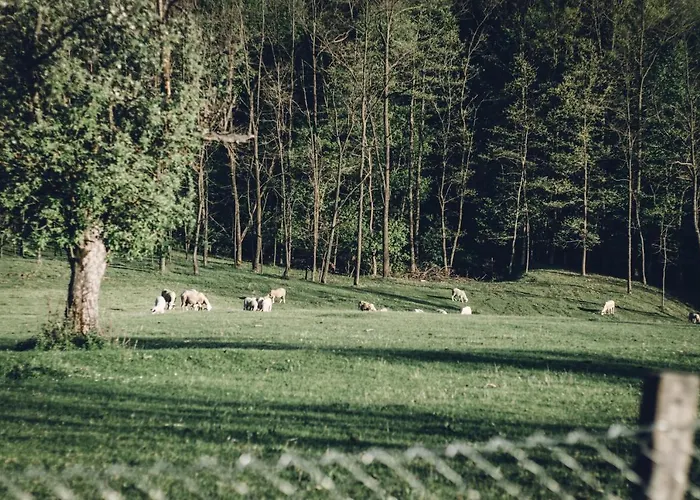 Jela Countryside House Дом отдыха *